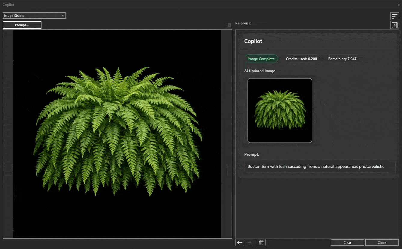 Create Plants and Textures